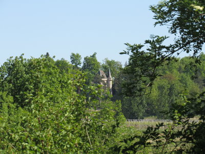 Puisseguin 2017, IMG_9239