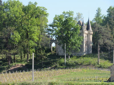 Puisseguin 2017, IMG_9240