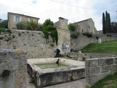 Puisseguin 2017, IMG_9337