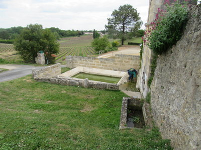Puisseguin 2017, IMG_9338
