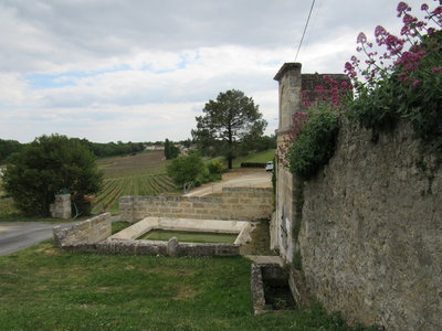 Puisseguin 2017, IMG_9339