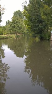 Marais Poitevin /Maria, V__1A8E-1