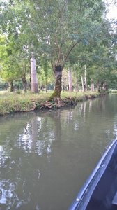Marais Poitevin /Maria, V__6D45