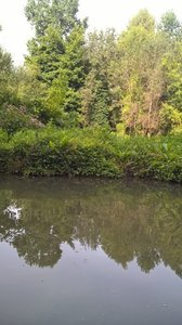 Marais Poitevin /Maria, V__94DA