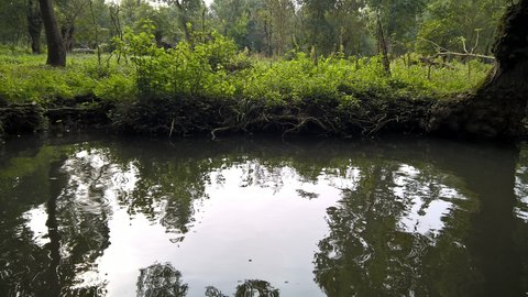 Marais Poitevin /Maria, V__96C3