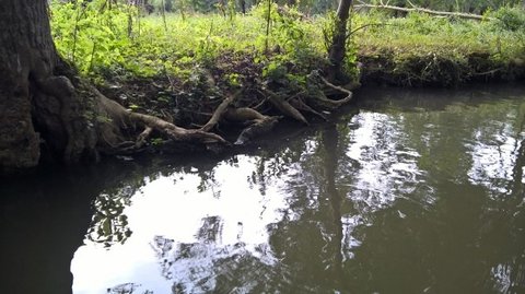 Marais Poitevin /Maria, V__5974