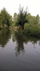 Marais Poitevin /Maria, V__A870