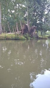 Marais Poitevin /Maria, V__AC65