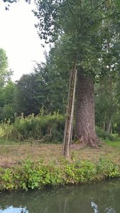 Marais Poitevin /Maria, V__D156