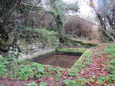 St Genès de Castillon 13/01/18, IMG_8886