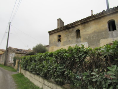 St Genès de Castillon 13/01/18, IMG_8889
