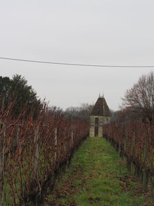 St Genès de Castillon 13/01/18, IMG_8894