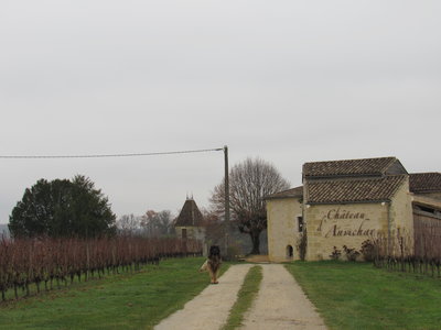 St Genès de Castillon 13/01/18, IMG_8895