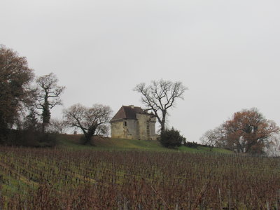 St Genès de Castillon 13/01/18, IMG_8896