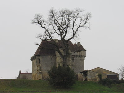 St Genès de Castillon 13/01/18, IMG_8897
