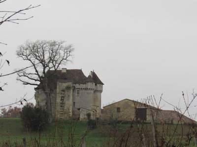 St Genès de Castillon 13/01/18, IMG_8898