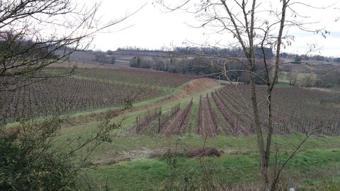 St Genès de Castillon 13/01/18, P_20180113_132818