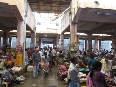 Pondichéry , IMG_1945