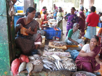 Pondichéry , IMG_1947