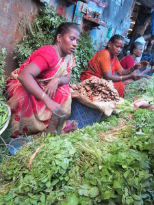 Pondichéry , IMG_1951