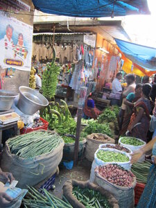 Pondichéry , IMG_1952