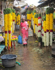 Pondichéry , IMG_1956
