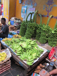 Pondichéry , IMG_1958