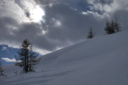 2018-01-18-21-powder-alert-voie-lactee, alpes-aventure-ski-freerando-sestriere-2018-01-19-07