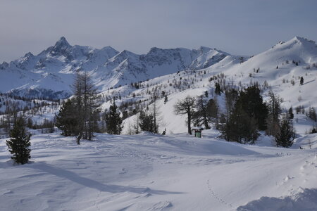 2018-01-18-21-powder-alert-voie-lactee, alpes-aventure-ski-freerando-cesana-torinese-2018-01-20-15