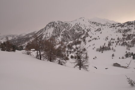 2018-01-18-21-powder-alert-voie-lactee, alpes-aventure-ski-randonnee-capanna-mautino-2018-01-21-004