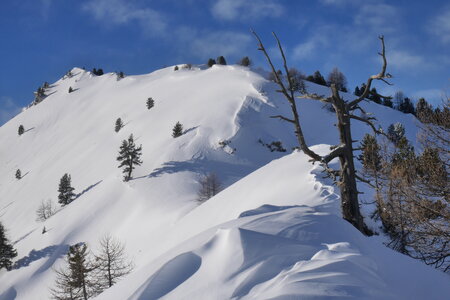 2018-01-18-21-powder-alert-voie-lactee, alpes-aventure-ski-randonnee-capanna-mautino-2018-01-21-016