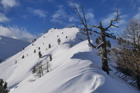 2018-01-18-21-powder-alert-voie-lactee, alpes-aventure-ski-randonnee-capanna-mautino-2018-01-21-017