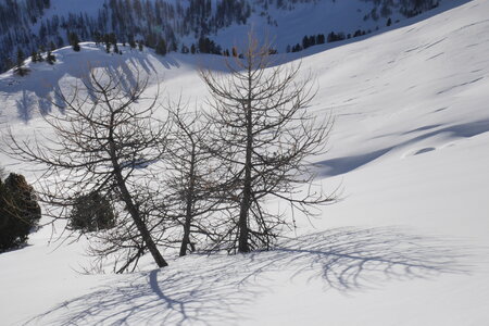 2018-01-18-21-powder-alert-voie-lactee, alpes-aventure-ski-randonnee-capanna-mautino-2018-01-21-019