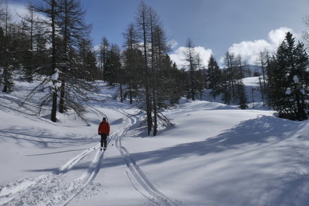 2018-01-18-21-powder-alert-voie-lactee, alpes-aventure-ski-randonnee-capanna-mautino-2018-01-21-123