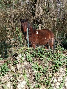 Lignan de Bordeaux 27/01/18, Resized_20180127_144353_1517075693307