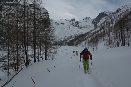 2018-01-24-28-powder-alert-freeride-paradise, alpes-aventure-bettolina-superiore-pian-di-verra-2018-01-25-25
