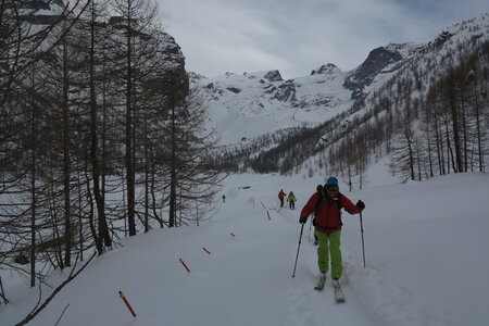 2018-01-24-28-powder-alert-freeride-paradise, alpes-aventure-bettolina-superiore-pian-di-verra-2018-01-25-26
