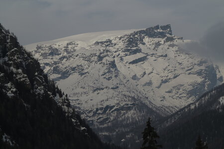 2018-01-24-28-powder-alert-freeride-paradise, alpes-aventure-bettolina-superiore-pian-di-verra-2018-01-25-27