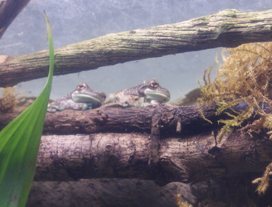 gros plans, DSC00280