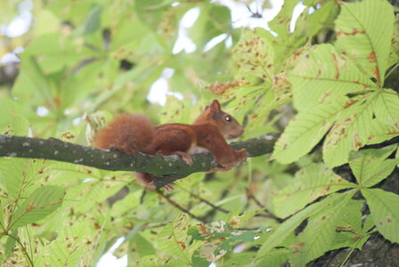 gros plans, DSC02532