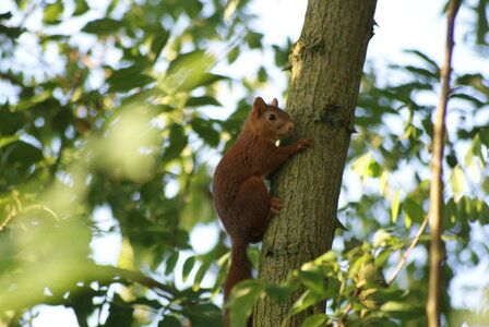 gros plans, DSC02669