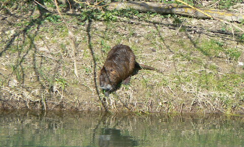 gros plans, P1060940
