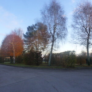 Laval, P1180997