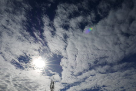 flare, P1130006