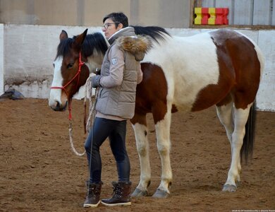 2018-02-04 Graimbouville - Longues rênes, DSC_3397