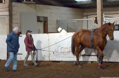 2018-02-04 Graimbouville - Longues rênes, DSC_3415