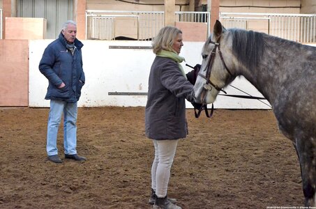 2018-02-04 Graimbouville - Longues rênes, DSC_3421