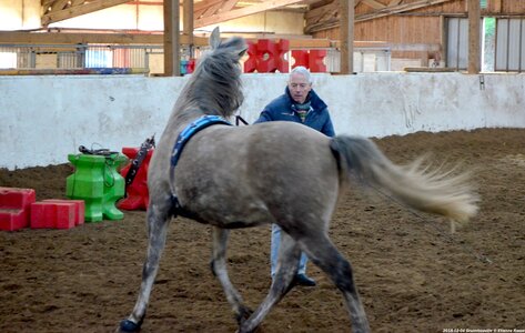 2018-02-04 Graimbouville - Longues rênes, DSC_3435