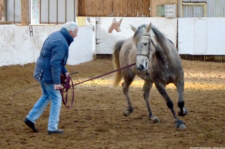 2018-02-04 Graimbouville - Longues rênes, DSC_3442