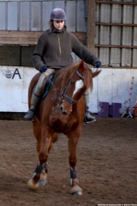 2018-02-04 Graimbouville - Longues rênes, DSC_3556